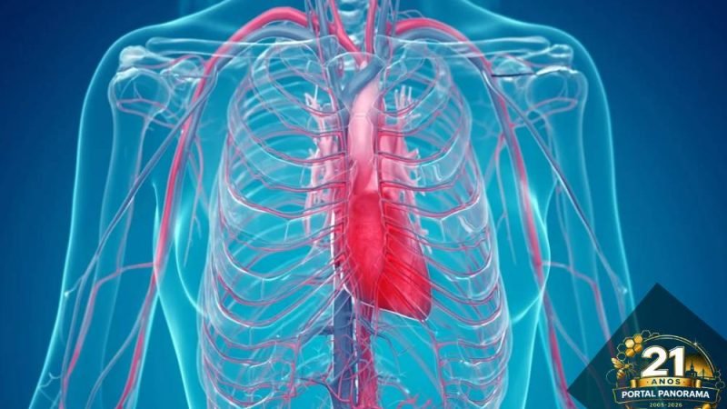 Câncer no coração pode causar falta de ar? Especialistas alertam para sintomas raros e perigosos