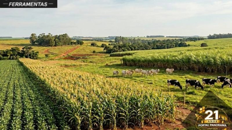 Cotações do Agro: Confira os preços desta quinta-feira