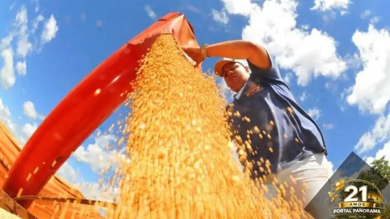 Agropecuária cresce mais de 20% e coloca economia de Goiás acima da média nacional