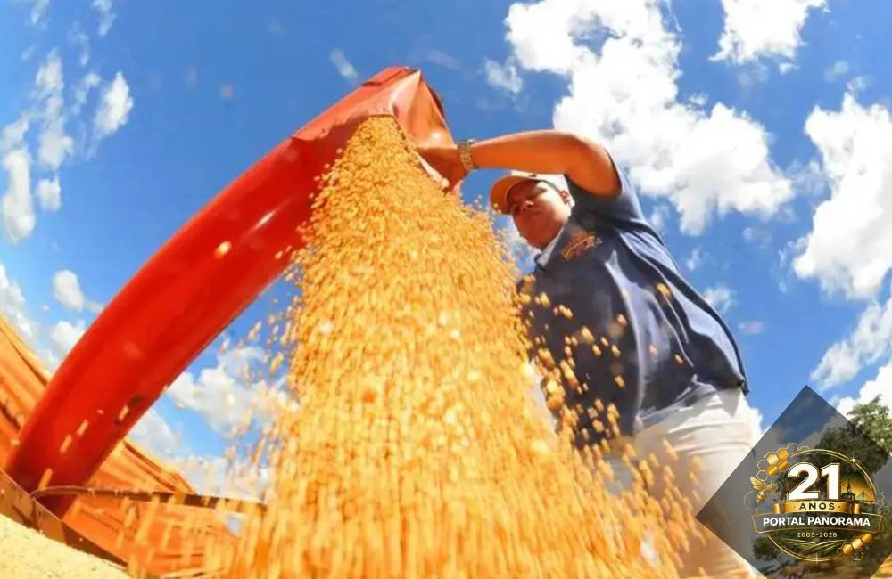 Agropecuária cresce mais de 20% e coloca economia de Goiás acima da média nacional