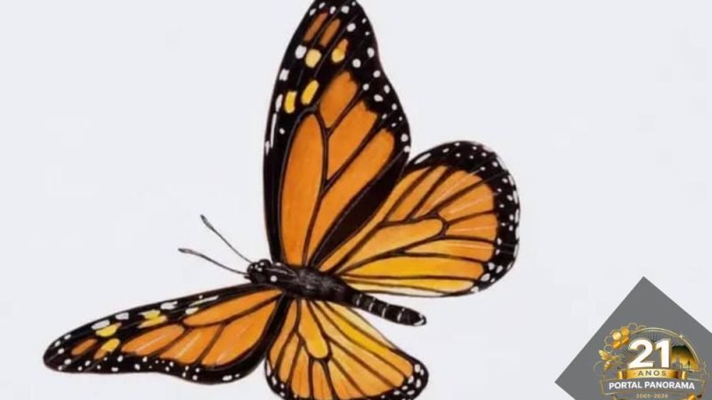 O que aconteceria se todos os insetos desaparecessem do planeta?