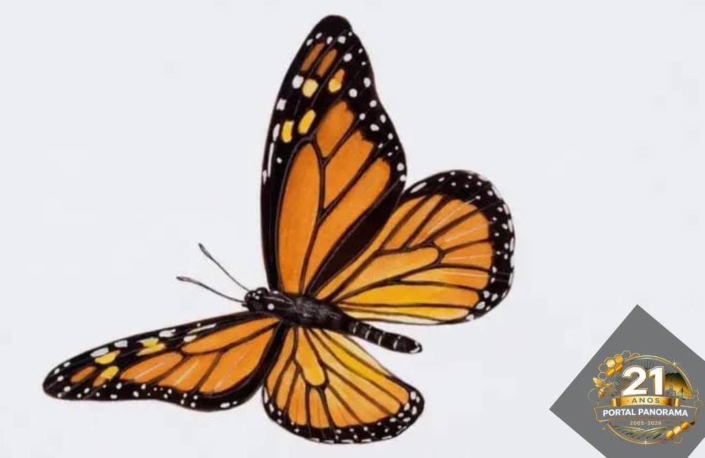 O que aconteceria se todos os insetos desaparecessem do planeta?