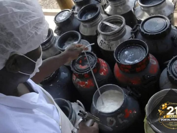 Governo anuncia pacote de investimentos para produção de leite