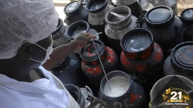 Governo anuncia pacote de investimentos para produção de leite