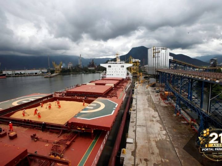 Preços da soja caem no Brasil e atingem menor nível para abril em cinco anos