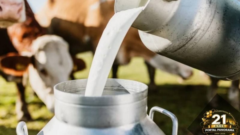 Governo libera R$ 909 milhões para produção de leite e reforma agrária