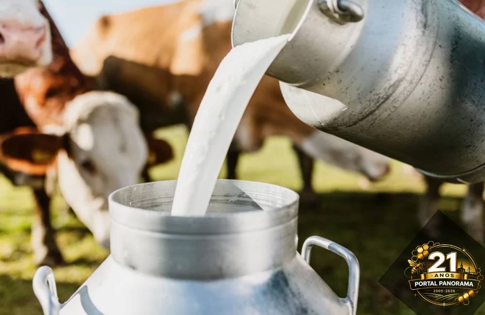 Governo libera R$ 909 milhões para produção de leite e reforma agrária