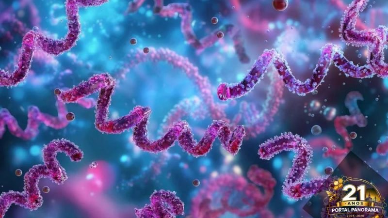 Epidemia em curso: infectologista alerta para alta de casos de sífilis