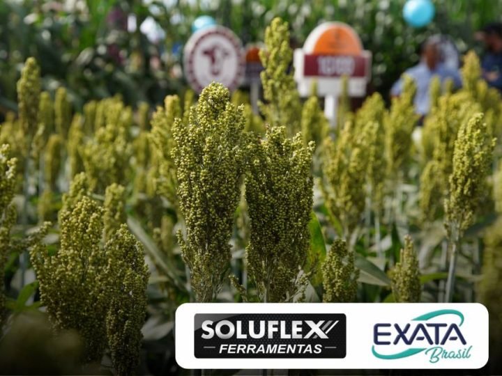 Instituições conectam inovação, pesquisa e campo na Tecnoshow COMIGO 2026