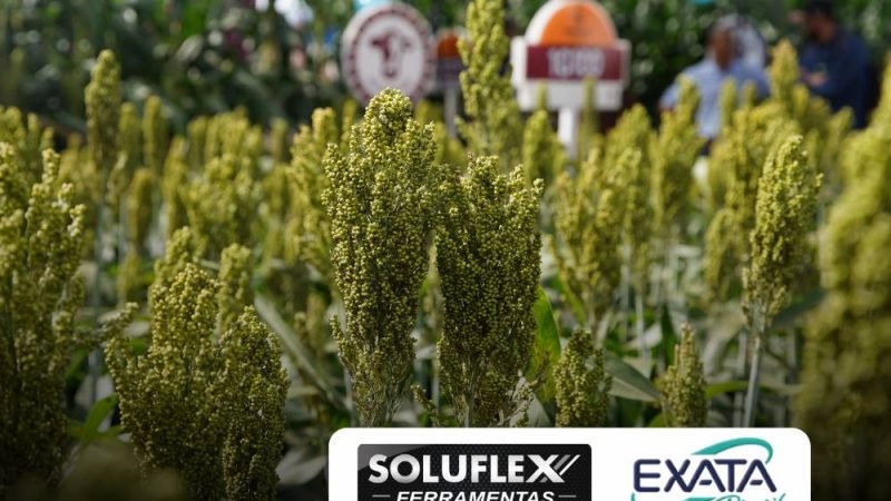 Instituições conectam inovação, pesquisa e campo na Tecnoshow COMIGO 2026