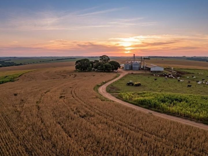 Agro em Jataí registra ajustes com soja em queda e mercado estável nesta quinta