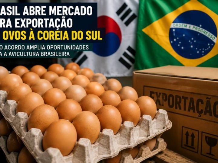 Brasil abre mercado para exportação de ovos à Coreia do Sul
