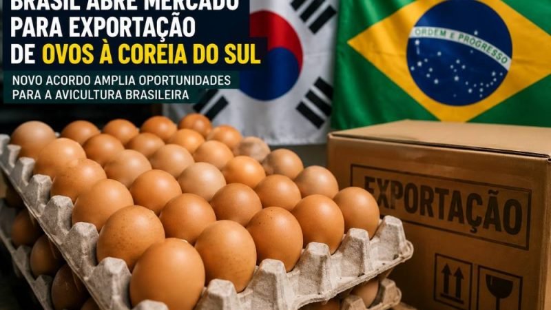 Brasil abre mercado para exportação de ovos à Coreia do Sul