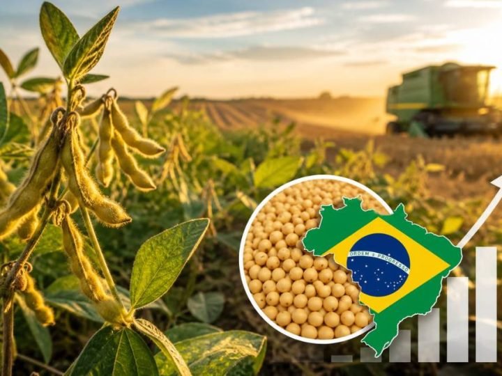 Descoberta brasileira pode reduzir prejuízos bilionários na produção de soja