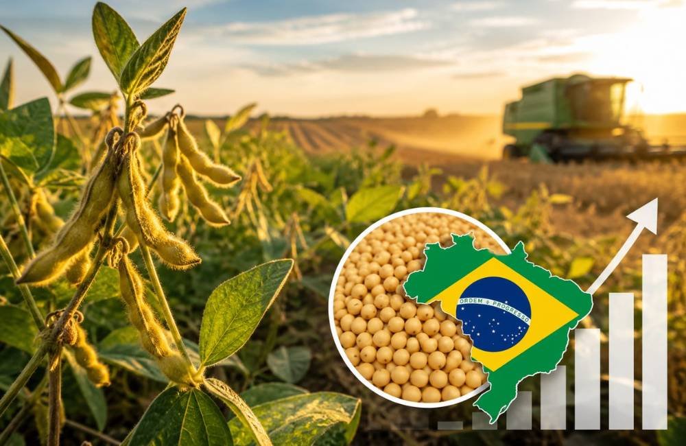Descoberta brasileira pode reduzir prejuízos bilionários na produção de soja
