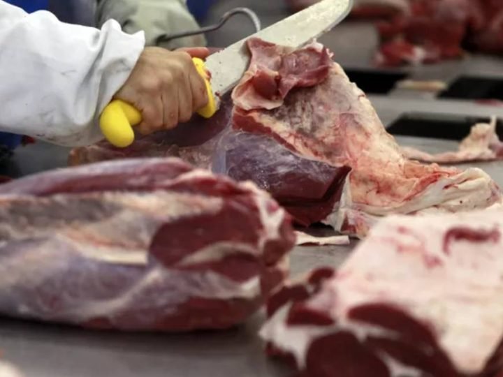 Exportações de carne bovina batem recorde em abril e receita supera US$ 1,5 bilhão