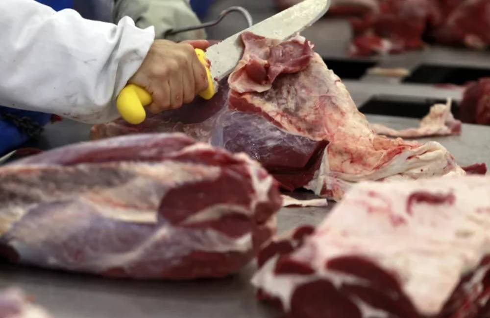 Exportações de carne bovina batem recorde em abril e receita supera US$ 1,5 bilhão