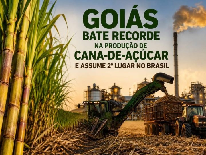 Goiás bate recorde na produção de cana-de-açúcar e assume 2º lugar no Brasil