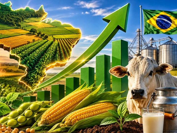 PIB da agropecuária cresce 2% no início de 2026 e reforça peso do agro na economia brasileira