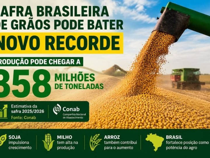 Safra brasileira de grãos pode bater novo recorde e chegar a 358 milhões de toneladas