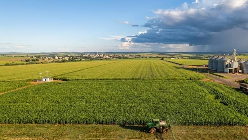 Safra de milho safrinha entra em fase decisiva e produtores acompanham impacto do clima
