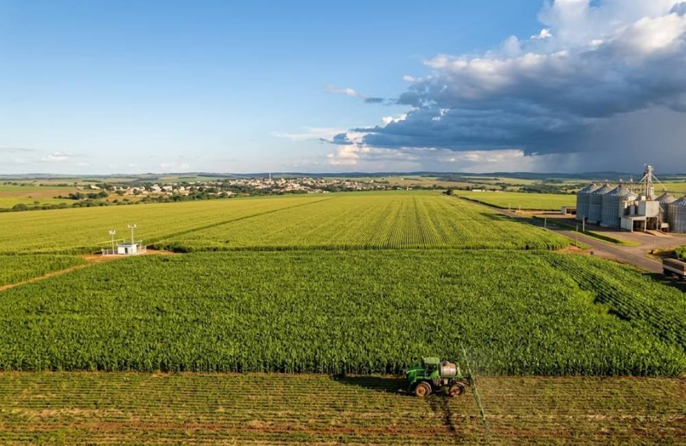 Safra de milho safrinha entra em fase decisiva e produtores acompanham impacto do clima