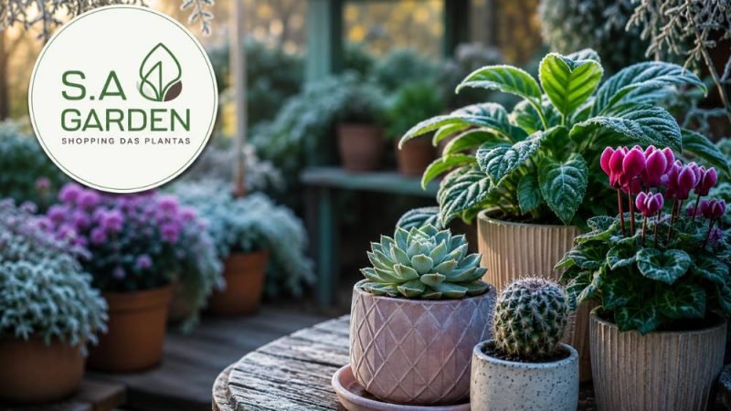 Temperaturas Baixas? Veja como salvar suas plantas e manter seu jardim sempre lindo!