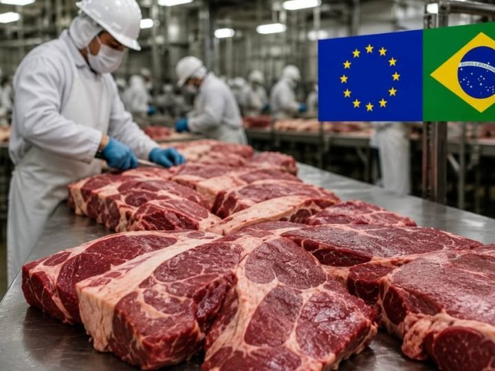 União Europeia deixa Brasil fora de exportações de carnes por exigências sanitárias