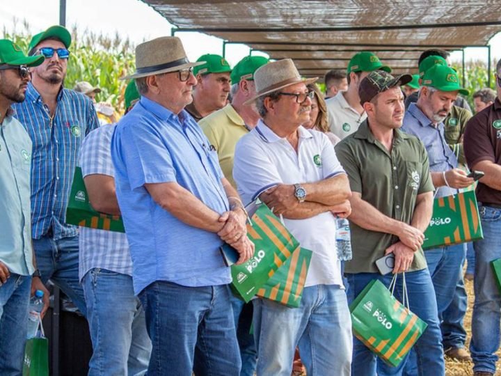 GALERIA DE FOTOS | Área Polo Pioneer reúne produtores e especialistas em Jataí