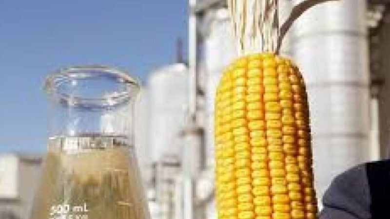 Bioenergia e etanol de milho ampliam protagonismo do agronegócio brasileiro