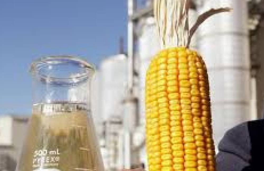 Bioenergia e etanol de milho ampliam protagonismo do agronegócio brasileiro