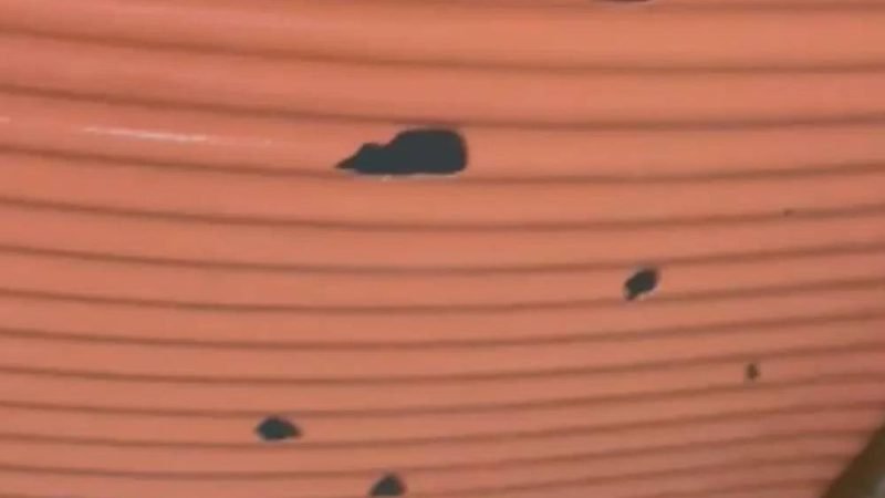 Chuva de granizo destrói telhado de morador em Goiânia e causa prejuízo: ‘acabou com tudo’