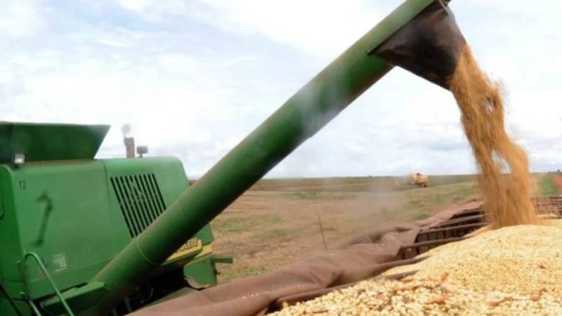 Colheita de soja atinge 99,7% no Brasil, aponta Conab; ritmo segue abaixo do ano passado