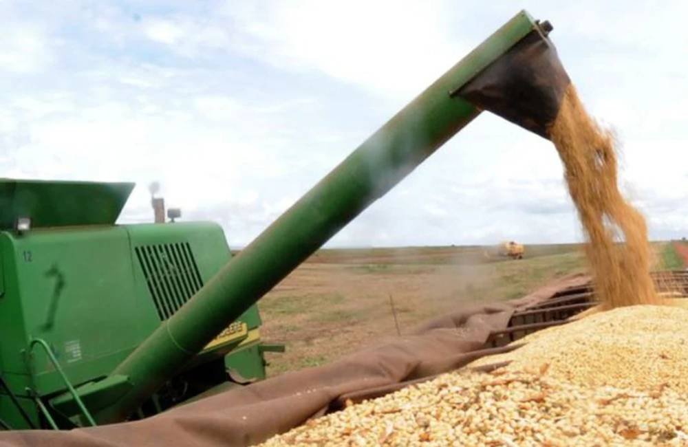 Colheita de soja atinge 99,7% no Brasil, aponta Conab; ritmo segue abaixo do ano passado