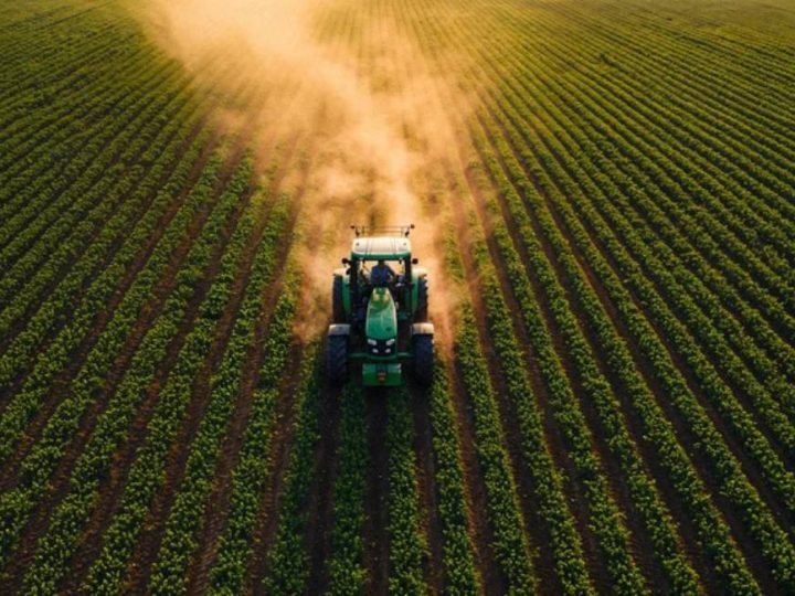 Corte no seguro rural amplia riscos no campo e preocupa produtores em Goiás e no Brasil