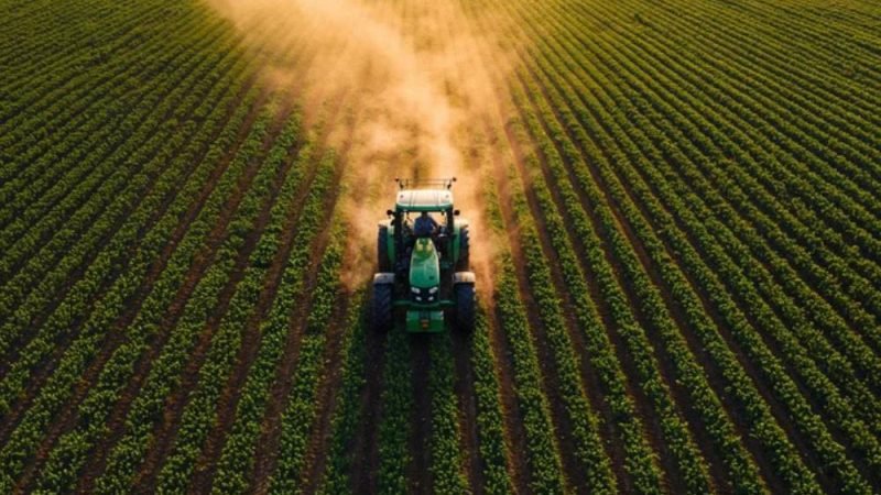 Corte no seguro rural amplia riscos no campo e preocupa produtores em Goiás e no Brasil
