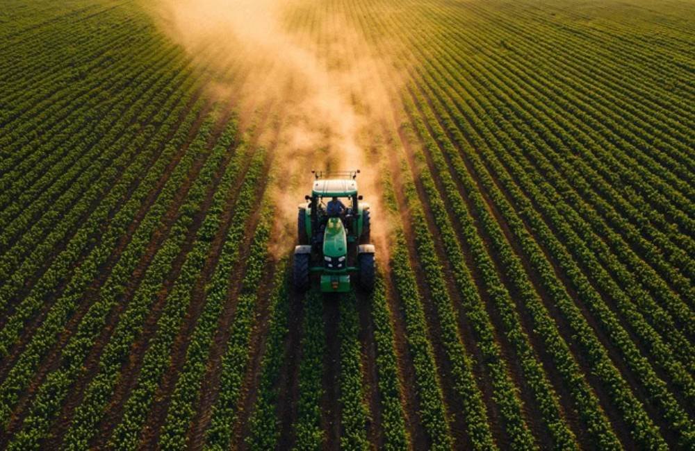 Corte no seguro rural amplia riscos no campo e preocupa produtores em Goiás e no Brasil