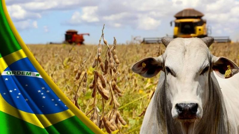 Cotação do agro em Jataí nesta quarta-feira tem soja a R$117 e dólar em alta