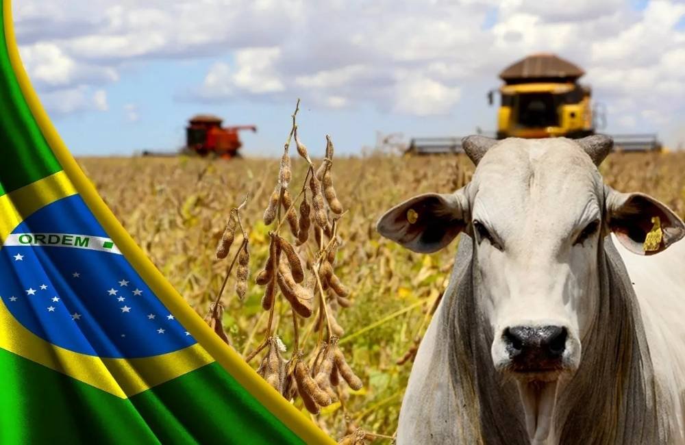 Cotação do agro em Jataí nesta quarta-feira tem soja a R$117 e dólar em alta