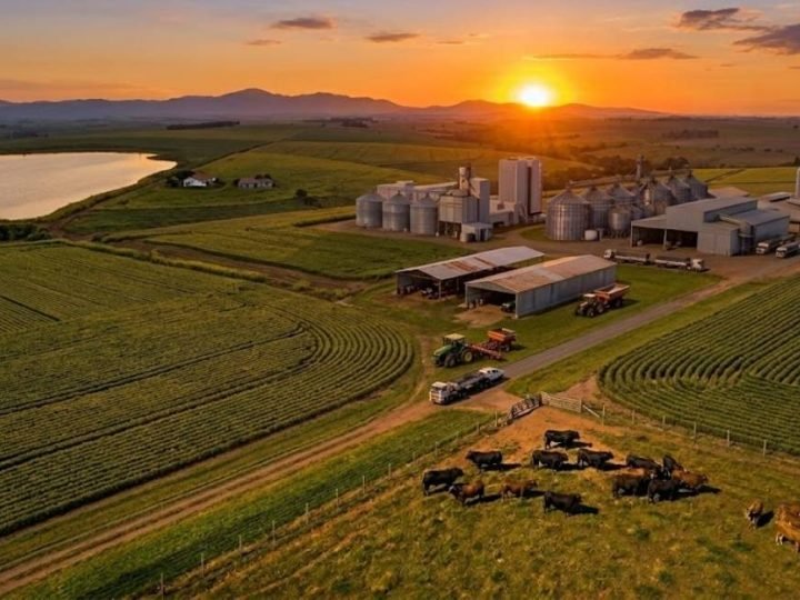 Cotação do agro em Jataí nesta sexta-feira registra recuo do dólar e soja a R$115 no futuro