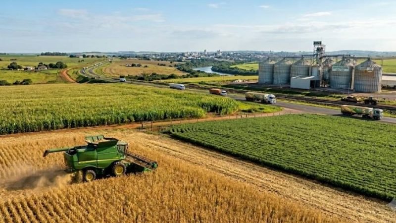 Cotação do agro em Jataí nesta terça-feira registra alta na soja e dólar a R$5,19
