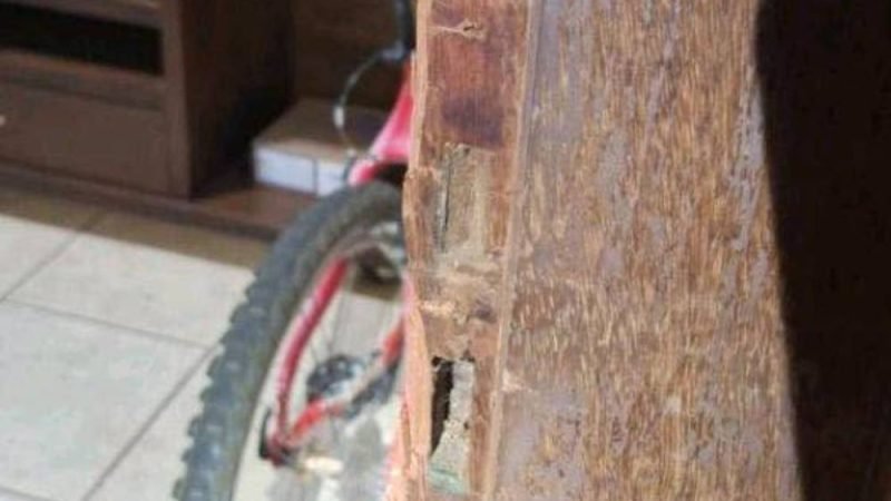 Criminosos arrombam residência e furtam R$ 11 mil no Setor Epaminondas, em Jataí