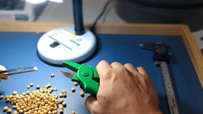 Curso de análise e classificação de grãos abre inscrições em Jataí