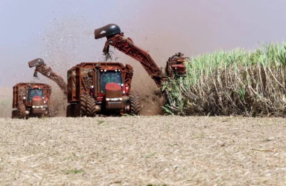 Do trigo à batata-doce, nova revolução do etanol amplia oportunidades para o agronegócio brasileiro