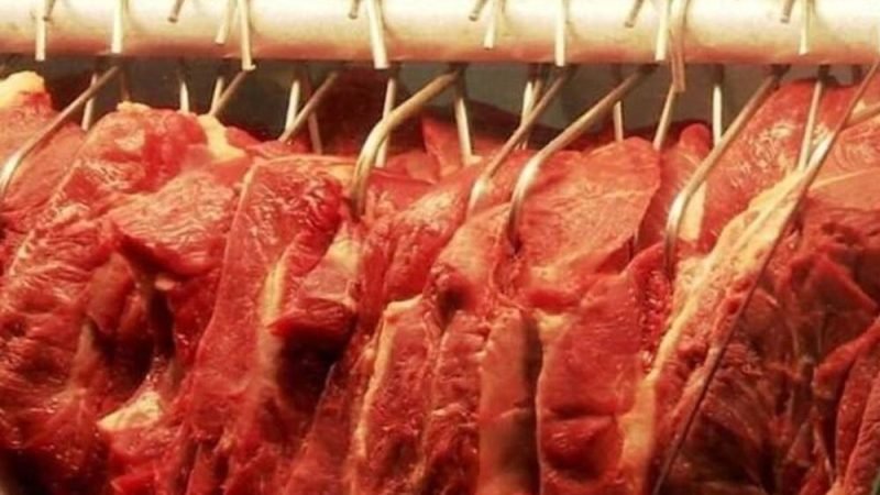 Dólar valorizado e demanda externa impulsionam exportações recordes de carne bovina em 2026