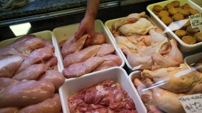 Exportações brasileiras de frango superam US$ 1 bilhão em maio e atingem recorde histórico
