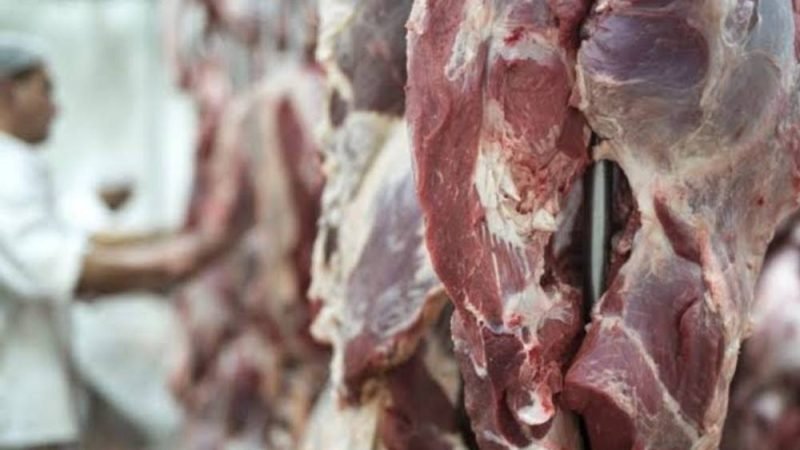 Exportações para a China pressionam mercado e preço do boi gordo recua no Brasil