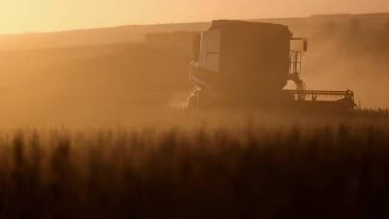 Leilões de propriedades rurais disparam no Brasil com avanço da inadimplência no campo