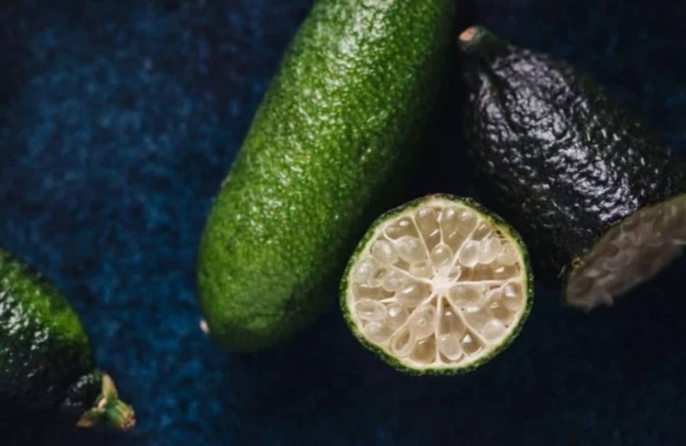SP registra limão caviar brasileiro que pode chegar a R$ 1,2 mil o quilo