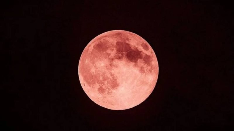 Lua de Morango ilumina o céu nesta segunda-feira (29); saiba o melhor horário para observar o fenômeno